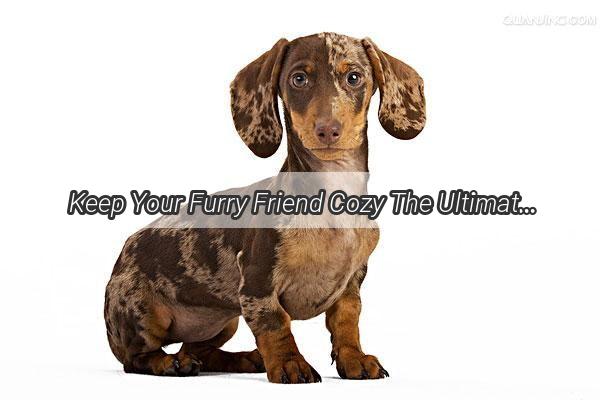 Keep Your Furry Friend Cozy The Ultimate Guide to Wrapping a Blanket Around Your Dog